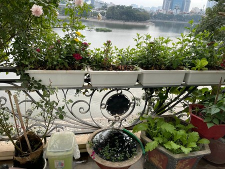 Đẳng cấp mặt tiền rộng view Hồ Mai Anh Tuấn lô góc kinh doanh mọi loại hình khu dân cư