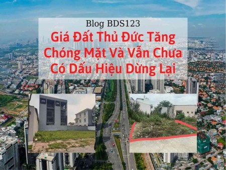 Ảnh bài viết: Giá đất Thủ Đức tăng chóng mặt và vẫn chưa có dấu hiệu dừng lại
