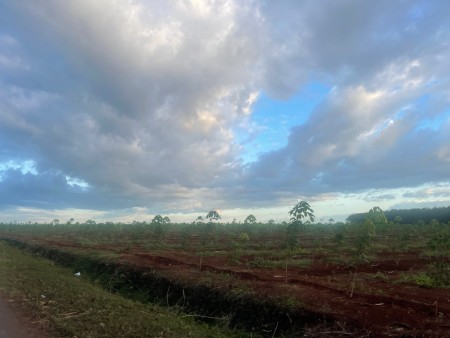 Bán đất mặt tiền đường nhựa 12m tại Đồng Phú giá ngộp giá bán tiện đầu tư sinh lời