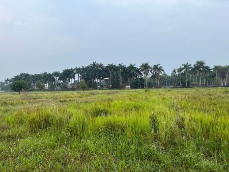 Cần bán đất vườn Tân Phú Trung, diện tích sử dụng 510m2, giá bán chỉ 1 tỷ 275 triệu