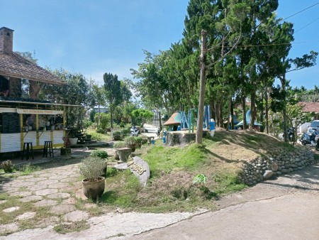 Đi đến slide 5