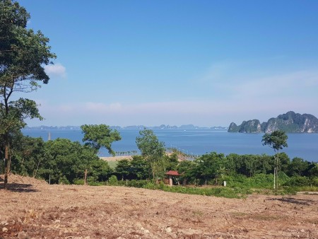 Bán cắt lỗ lô đất nền biệt thự Tuần Châu diện tích hơn 500m2, liên hệ 0986302328