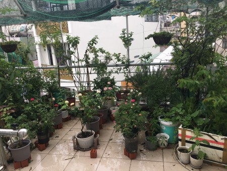 Cho thuê nguyên tầng 3 - Roottop tiện ích đầy đủ, giá tốt, môi trường sống yên tĩnh, an ninh