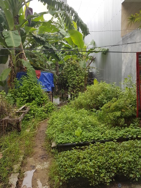 Đi đến slide 5