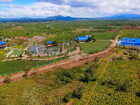 Đi đến slide 8