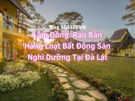 Ảnh bài viết: Lâm Đồng: Rao bán hàng loạt bất động sản nghỉ dưỡng tại Đà Lạt