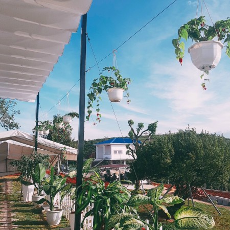 Bán đất gần trung tâm Bảo Lộc VIEW Cực Đẹp giá phải chăng diện tích lớn, giá 8 triệu/m2