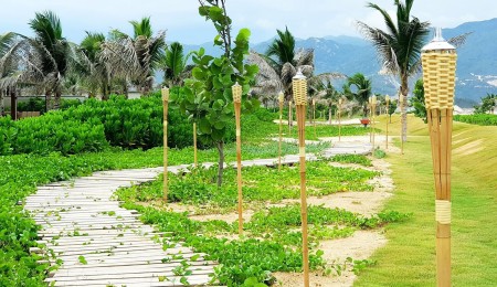 phạm thị thúy ngọc