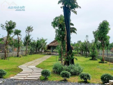 Cần bán lô đất vườn Củ Chi diện tích 500m2, có sẵn sổ hồng, khu dân cư đông, giá tốt