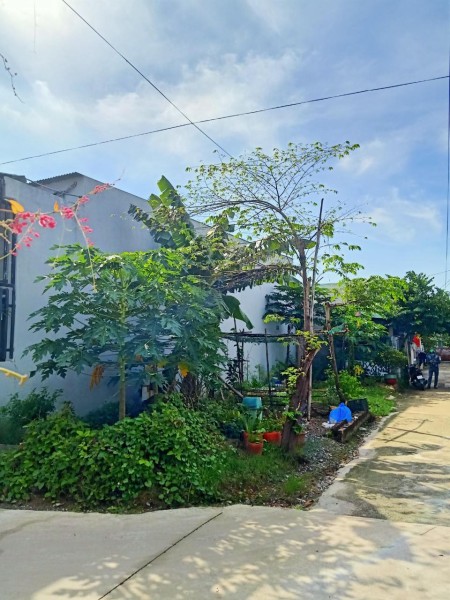 Đi đến slide 1