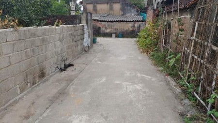 Do không có nhu cầu sử dụng gia đình cần bán thửa đất 50m2 thôn Khoan Tế, Đa Tốn, Gia Lâm, Hà Nội