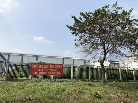 Cho thuê Đất - Nhà xưởng khu công nghiệp Tân Đức, Long An giá thương lượng