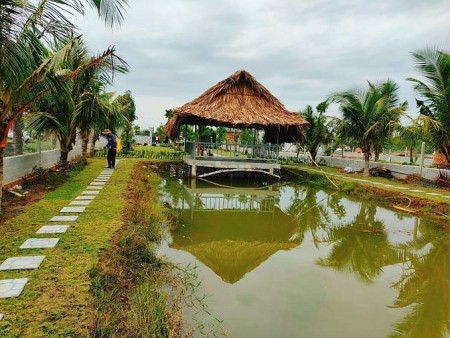 Đi đến slide 3
