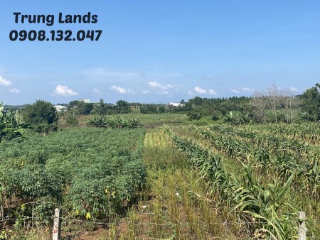 Bán 2000 m2 đất xã Bình Ba,view hồ Đá Đen Châu Đức, BRVT giá 4 tỷ trung, lh 0908132047