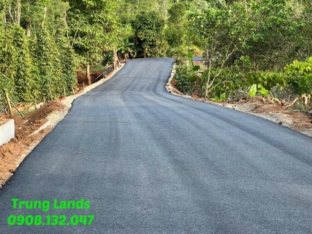 Bán 2000m2 có 100m2 thổ cư giá 4.25 tỷ Suối Lúp- Bình Ba, Châu Đức, BRVT. Trung 0908.132.047