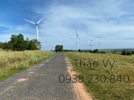 Lô đất hoa hậu view biển 5000m2 Tuy Phong, Bình Thuận giá đầu tư sinh lời, pháp lý đủ