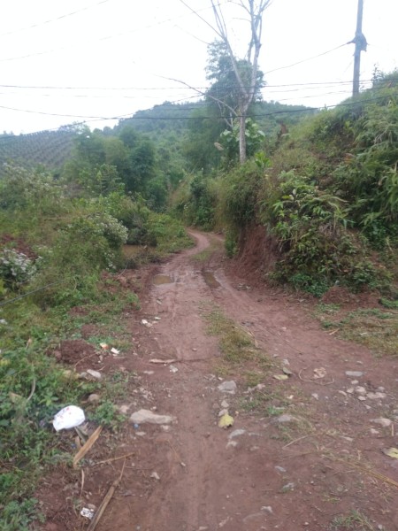Đi đến slide 3