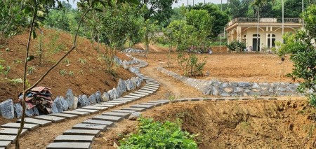 Đi đến slide 5