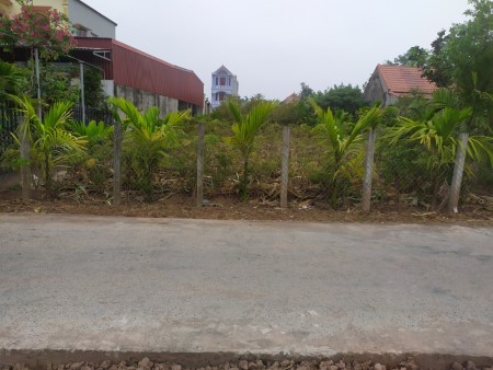 Đất chính chủ phù hợp xây biệt thự, nhà vườn, homestay giá tốt, pháp lý chính chủ