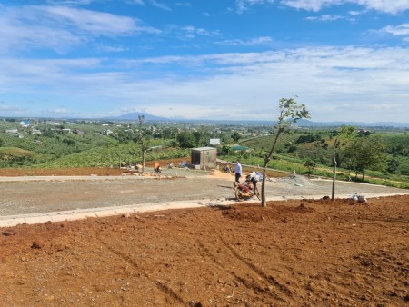Đi đến slide 8