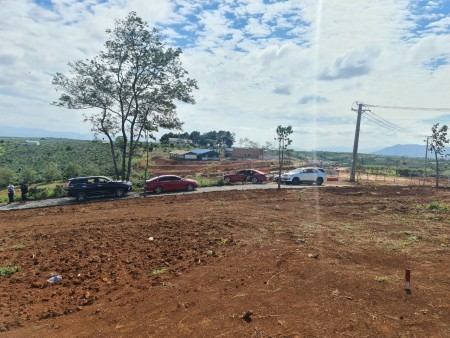 Đi đến slide 7