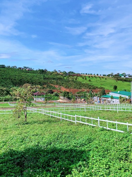 Đi đến slide 9