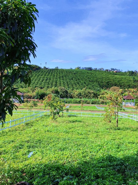 Đi đến slide 6