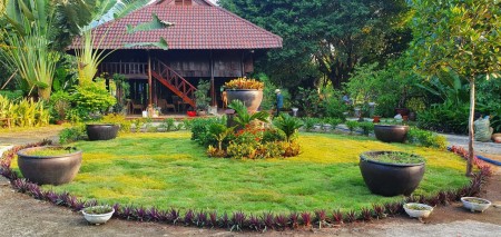 Đi đến slide 7