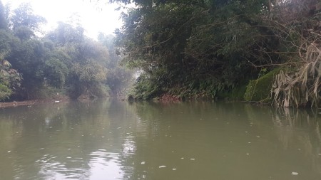 Đi đến slide 6