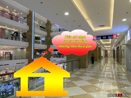 Ảnh bài viết: Tiêu chí chọn thuê mặt bằng thương mại hiệu quả