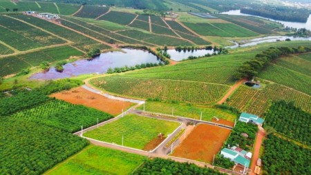 LÔ ĐÂT VIEW TRỰC DIỆN ĐỒI CHÈ, HỒ TẢO HỒNG GIÁ 8TR/M2