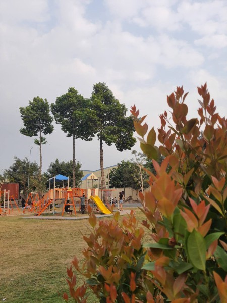 Đi đến slide 4