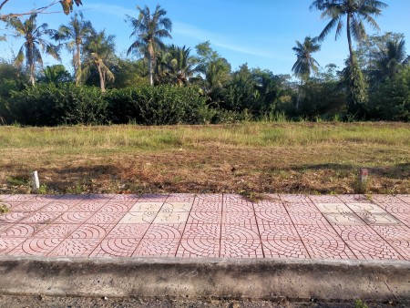 Bán đất nền ngay thị trấn Mỏ Cày Nam, sổ hồng riêng từng nền, 100% thổ cư giá đầu tư sinh lời