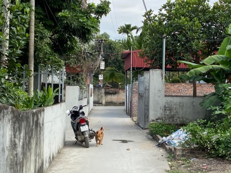 Bán lô đất diện tích sử dụng 55m2 tại Vân tra, An Đồng, An Dương giá 990 triệu