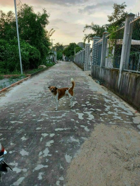 Đi đến slide 2