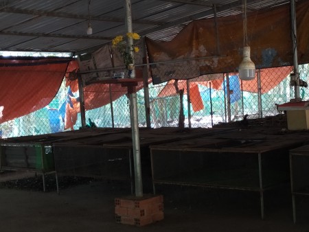Đi đến slide 4