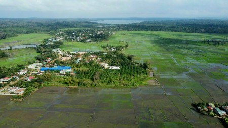 Đi đến slide 5