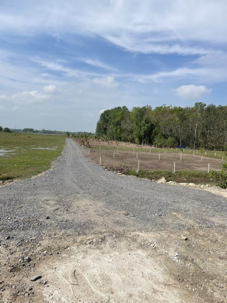 500m2 kế khu công nghiệp Bàu Trăn, huyện Củ Chi giá thoả thuận trực tiếp chính chủ