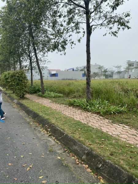 Đi đến slide 8
