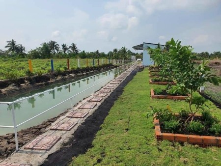 Đi đến slide 4