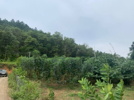 Ô đất lô góc tựa sơn sát thuỷ thích hợp đầu tư nghỉ dưỡng Homestay, giá tốt, pháp lý chuẩn
