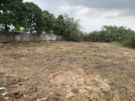 Có việc bán gấp lô đất diện tích 1100m2 thổ cư thành phố Tân An, liên hệ 0388781123