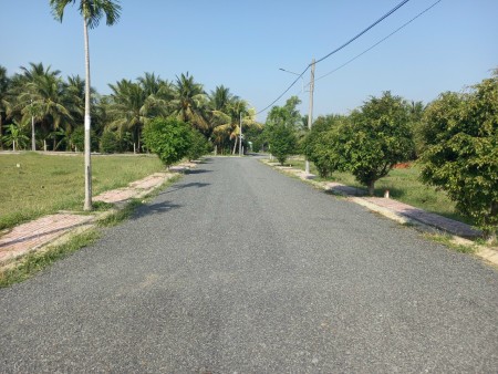 Cần bán đất nền ngay khu tái định cư Tân Hương Tiền Giang liên hệ 0365853239