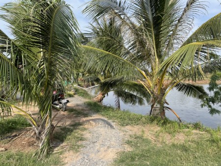 Bán đất gần đê biển - giá rẻ bất ngờ đầu tư sinh lời cao, liên hệ 0395137309, pháp lý đầy đủ