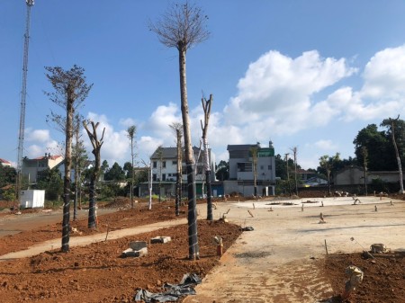 Đi đến slide 5