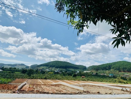 Cần bán gấp đất 528m2 Quy hoạch chính chủ full thổ cư tại Xã Mê Linh, huyện Lâm Hà, tỉnh Lâm Đồng