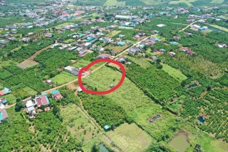 Cần ra đi gấp 2 lô đất đẹp sổ chính chủ 2 tỷ - 500 m² Bảo Lộc, Lâm Đồng
