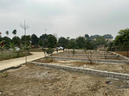 Cần tiền bán gấp lô đất gần Đại Lộ Thăng Long Hà Nội, giá thoả thuận, vị trí đắc địa, khu dân cư