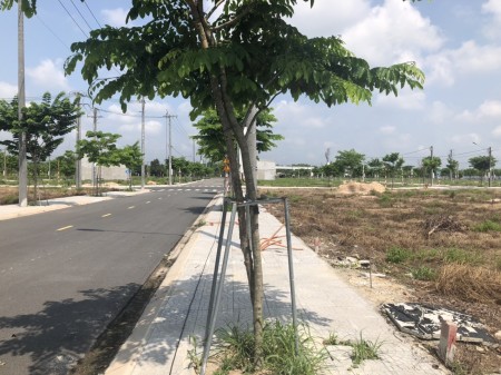 Đi đến slide 7