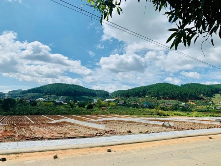 Bán gấp lô đất tại Lâm Hà giùm ông chú do kẹt tiền. Giá rẻ nhất 2022 vị trí đắc địa